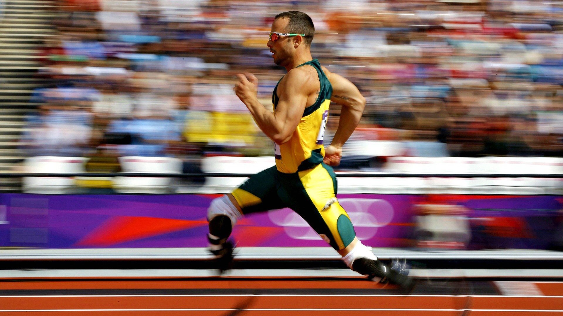 墨西哥马术协会与学校合作,开展马术教育课程,推广马术文化。